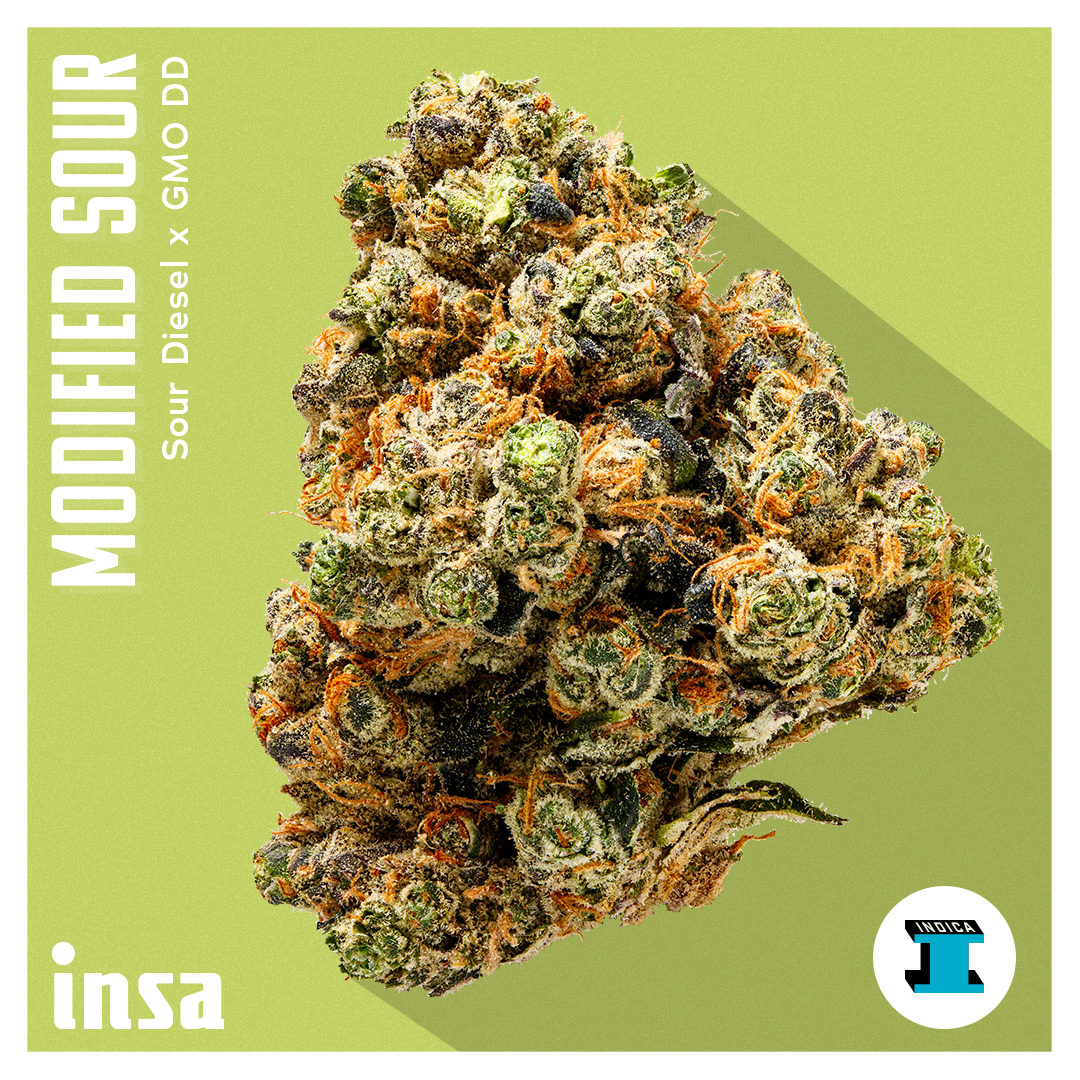 Photograph of product: Flower - Modified Sour - 3.5g