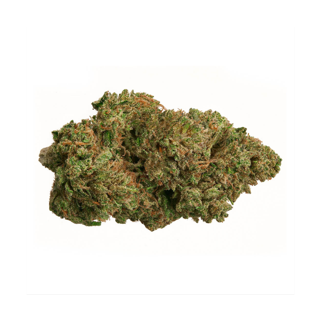 Photograph of product: Curio Wellness Exclusive Pre-Pack - Garlic Breath - 3.5g