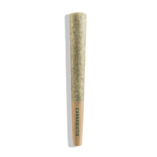 Photograph of product: GM-uhOh | CBX Pre-Roll [.75g] - 