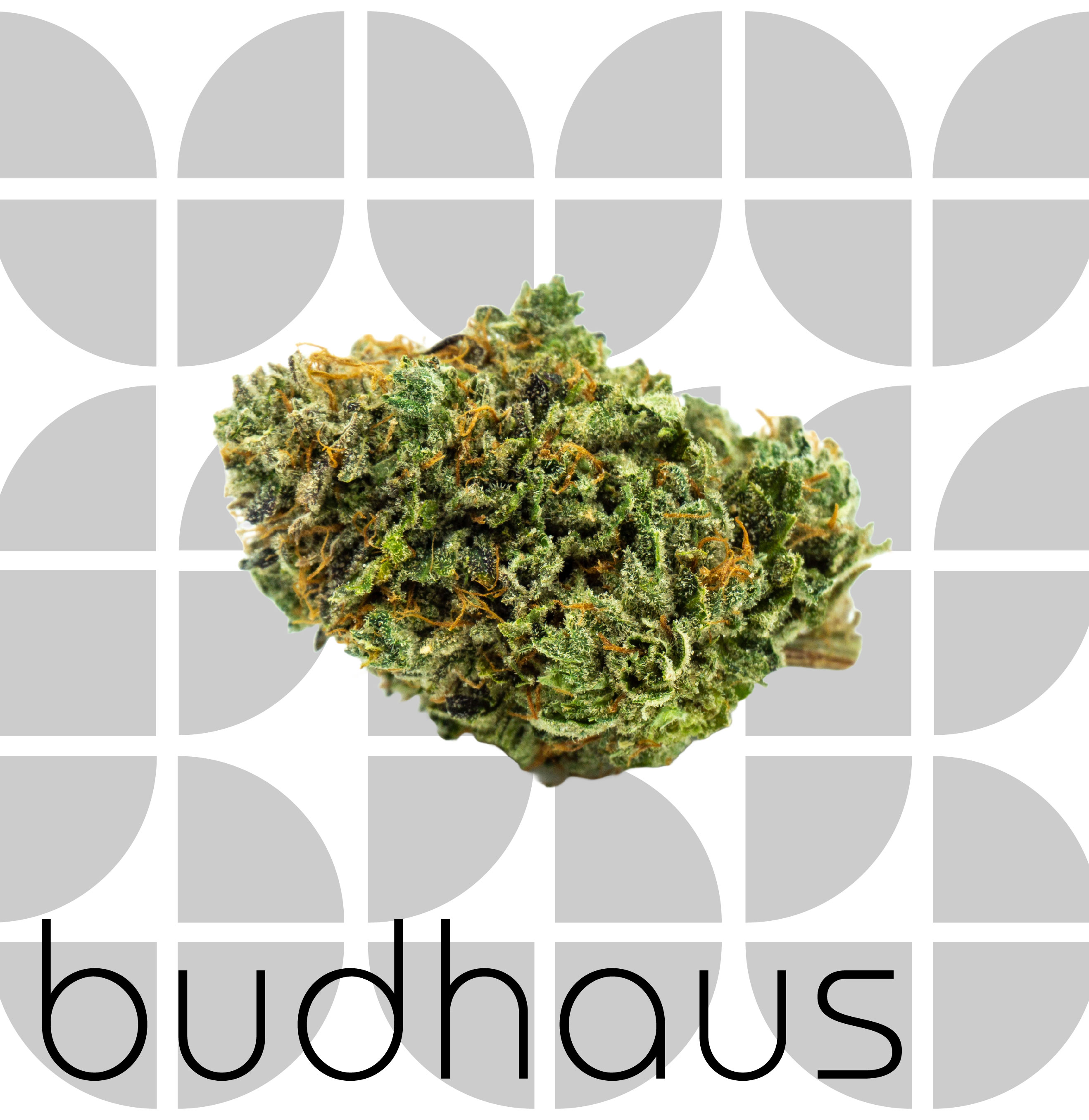 Photograph of product: Glass Slipper - 3.5g