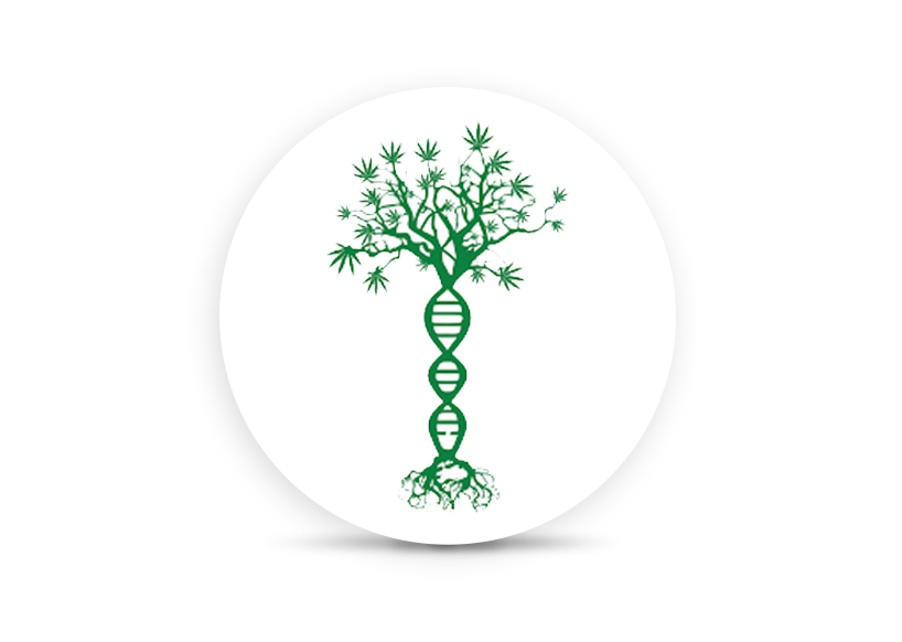 Logo for img-fluid: Oregon Genetics