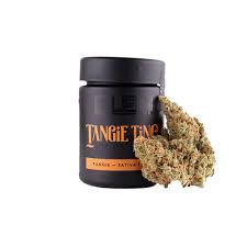 Photograph of product: TANGIE TING (3.5G)[S]