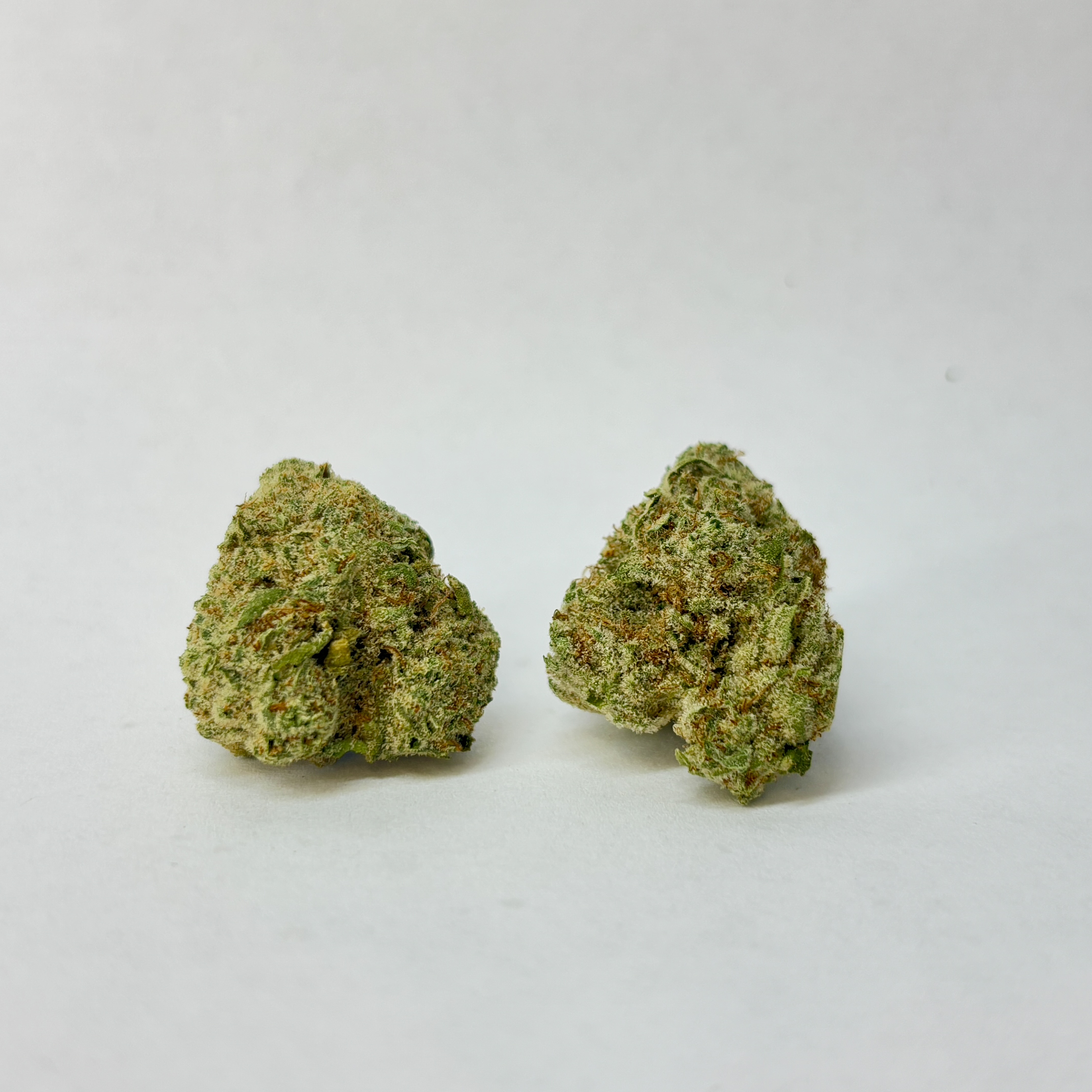 Photograph of product: MTGold-Flower-|Hybrid|MF - 3.5g