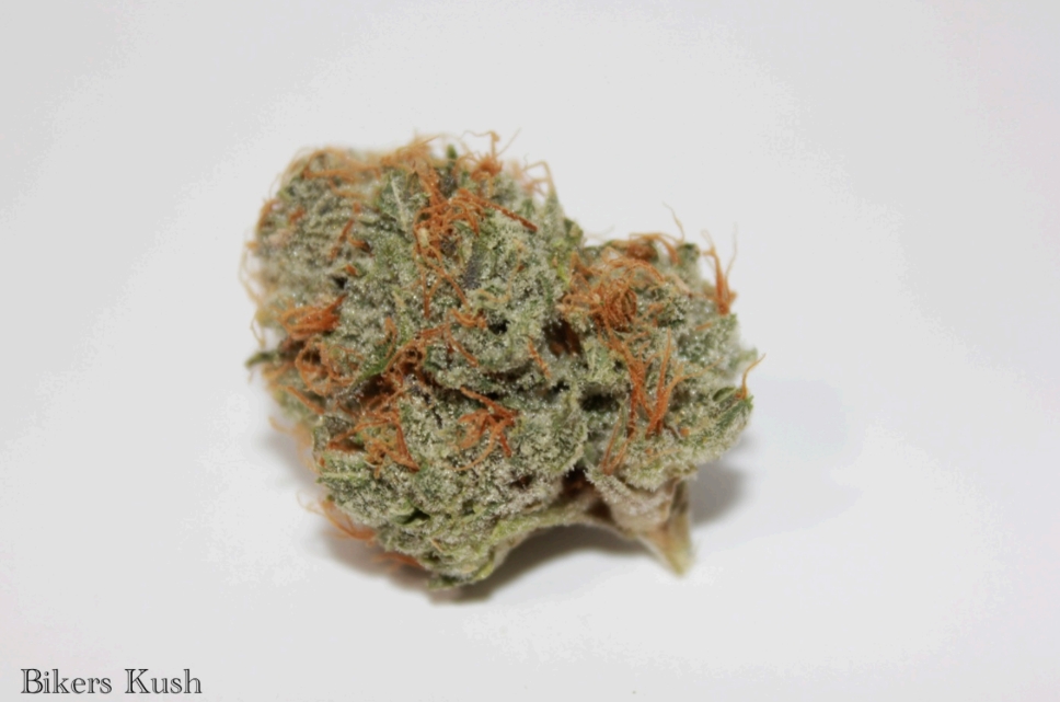 Photograph of product: Roemer Farms - Bikers Kush - Flower - 3.5g