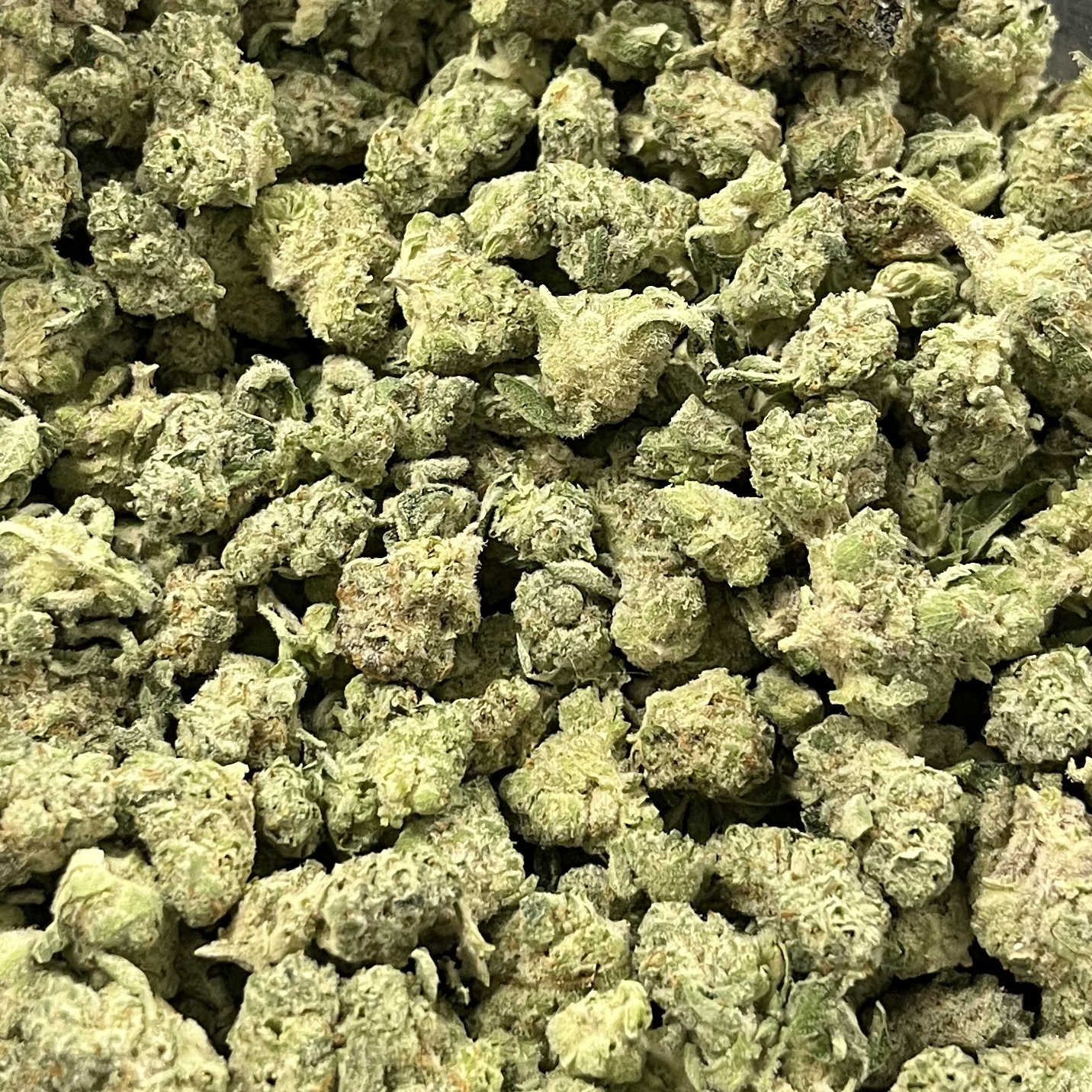 Photograph of product: B Bud Cap Junky SEEDS (Hotbox Farms)