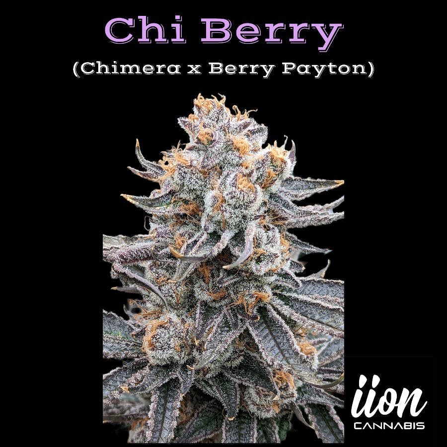 Photograph of product: iion Oui'd: Chi Berry Packed Eighth Jar