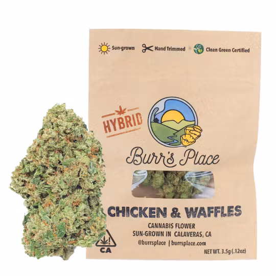 Photograph of product: Burr's Place - Flower - Triploid OG - 7g