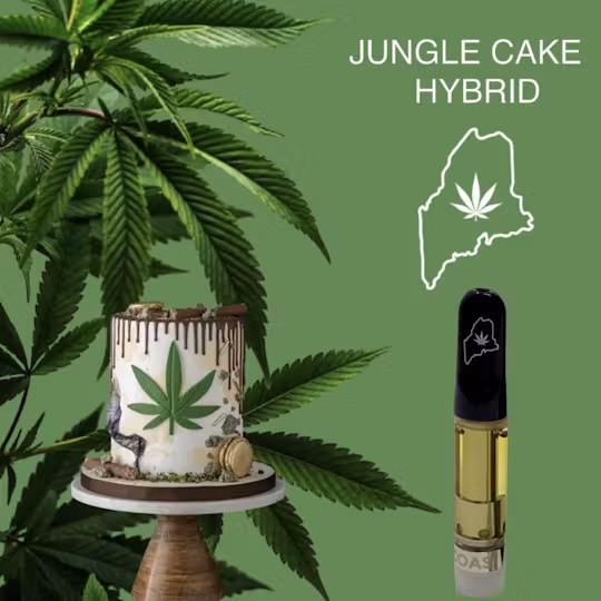 Photograph of product: High Coast Cartridge Jungle Cake 1 G