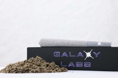 Photograph of product: GAL Preroll - Smackerz 1g