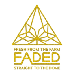 Photograph of product: Faded // OGKB BHO 1g