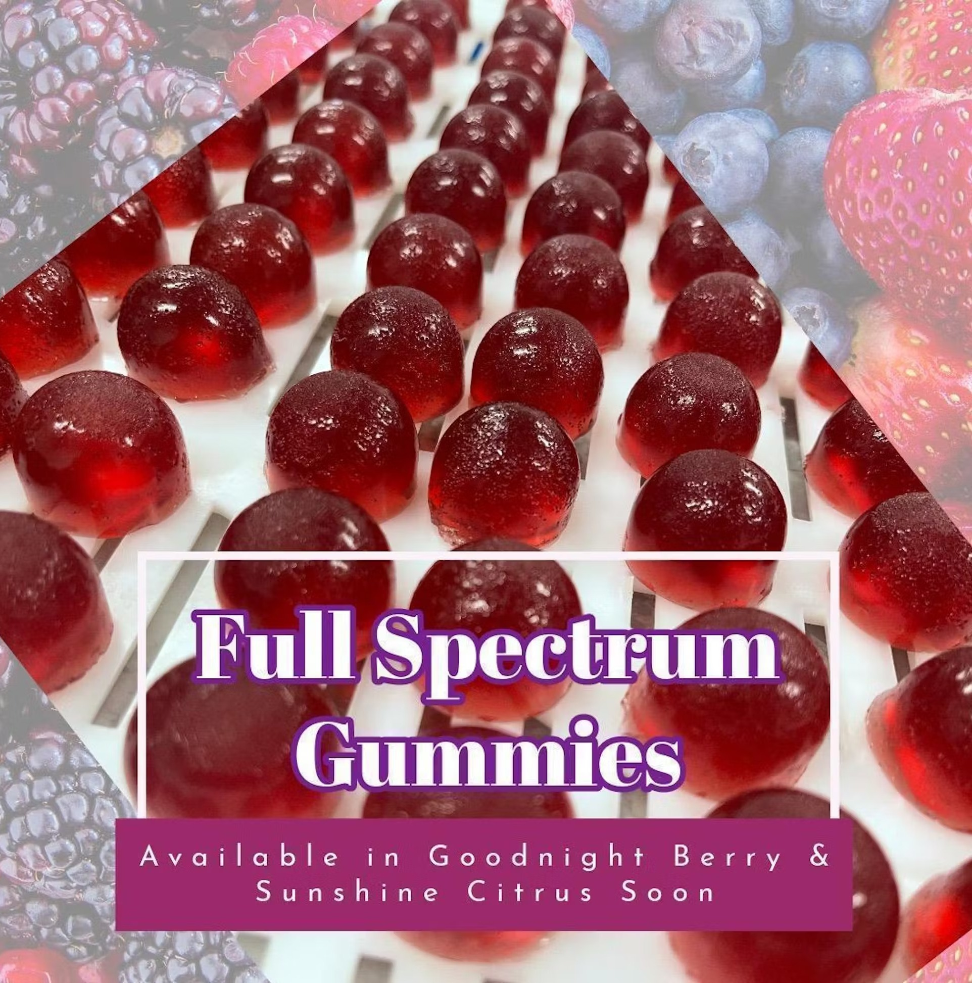 Photograph of product: Goodnight Berry (100mg) 10pk  Gummies By Lady Gray