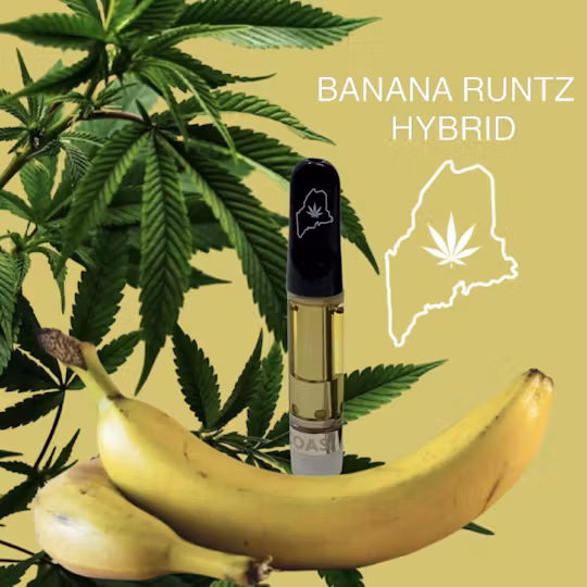 Photograph of product: High Coast Distillate Cartridge Banana Runtz 1 G