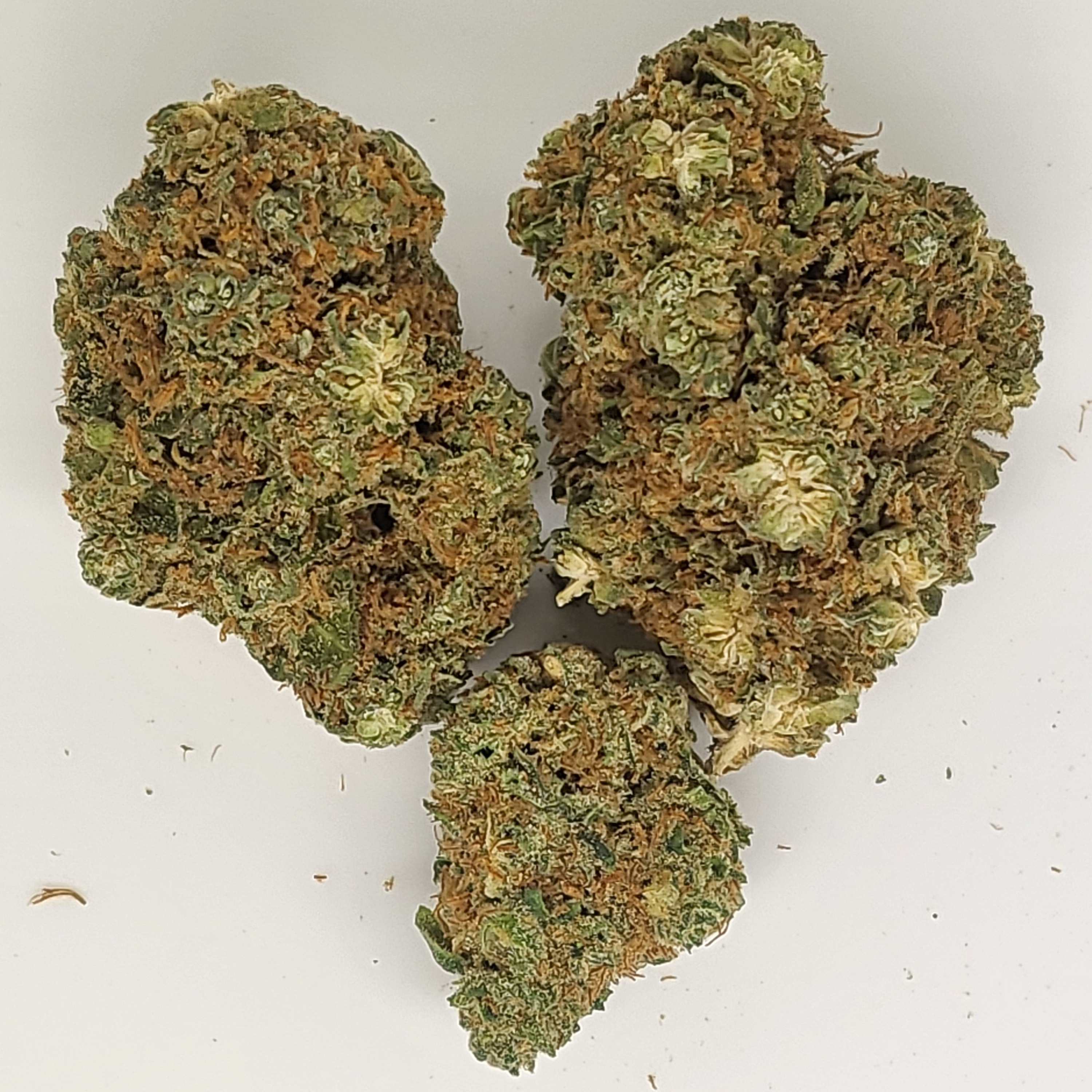 Photograph of product: Durban Cookies 1g Flower 21.66% TH-oui by ALASKAbuds