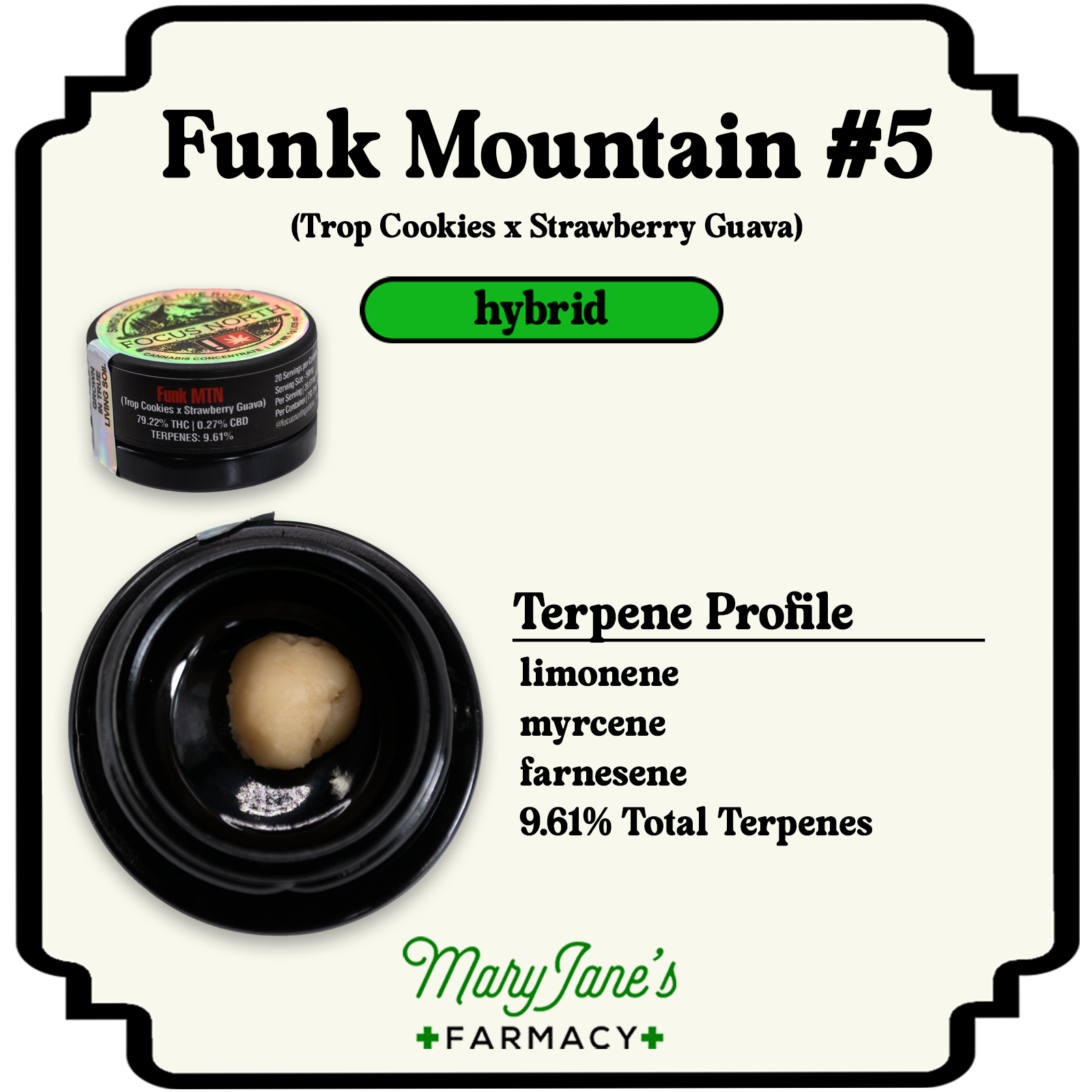 Photograph of product: Funk Mountain #5 Live au chocolat Rosin Extract | 1g