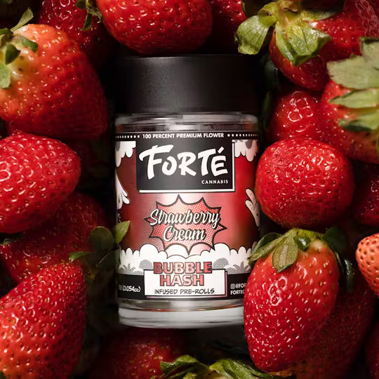 Photograph of product: Forte' Oui'd | Strawberry Cream Bubble au chocolat Infused Preroll | 3pck