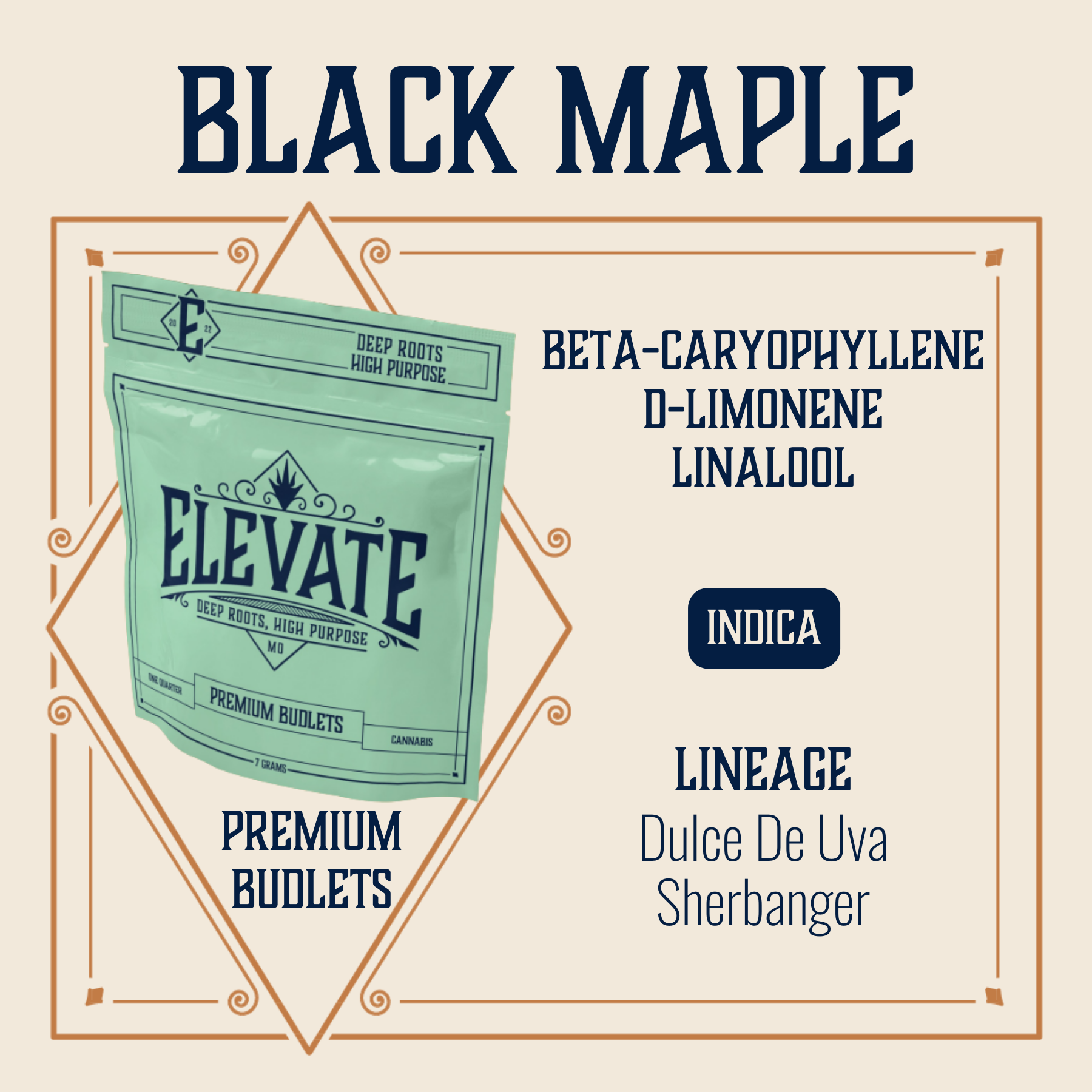 Photograph of product: Black Maple Budlets | 7g