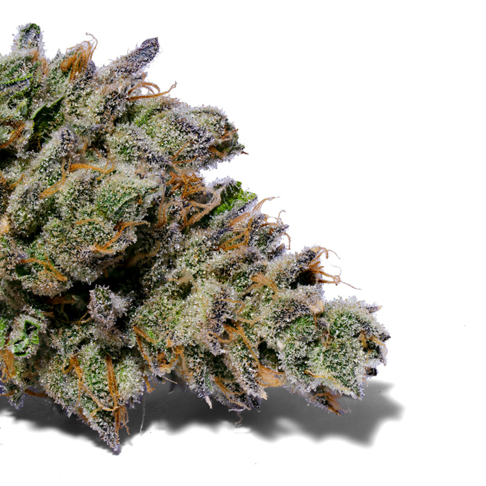 Photograph of product: Mind Eraser - 28g