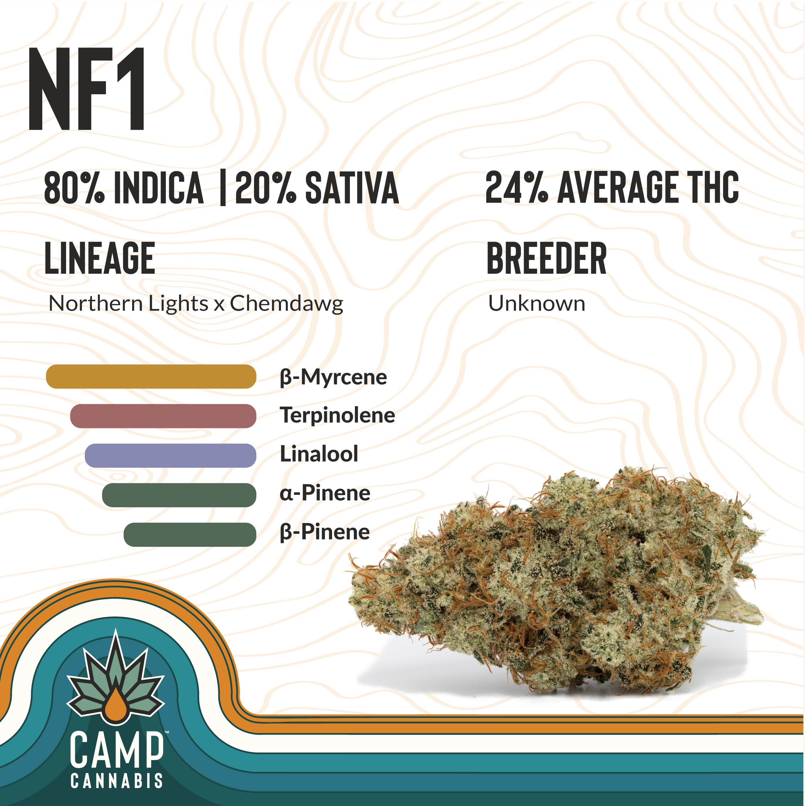 Photograph of product: NF1 | 3.5g | CAMP