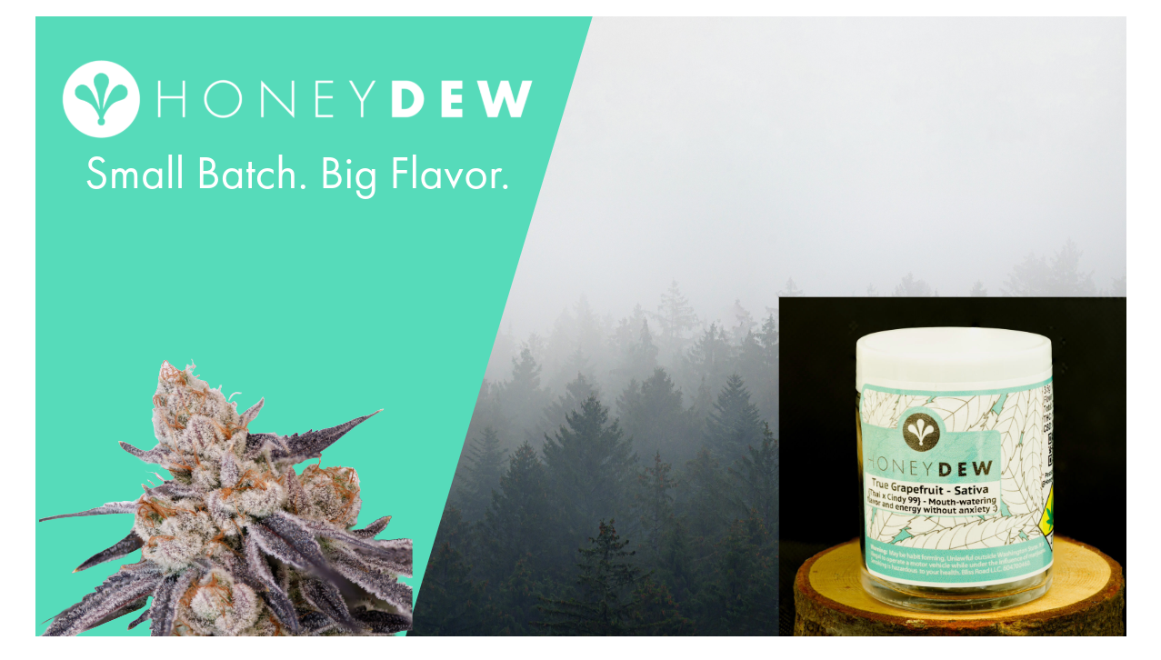Photograph of product: BRL Promo Diablo Lake BB 4g