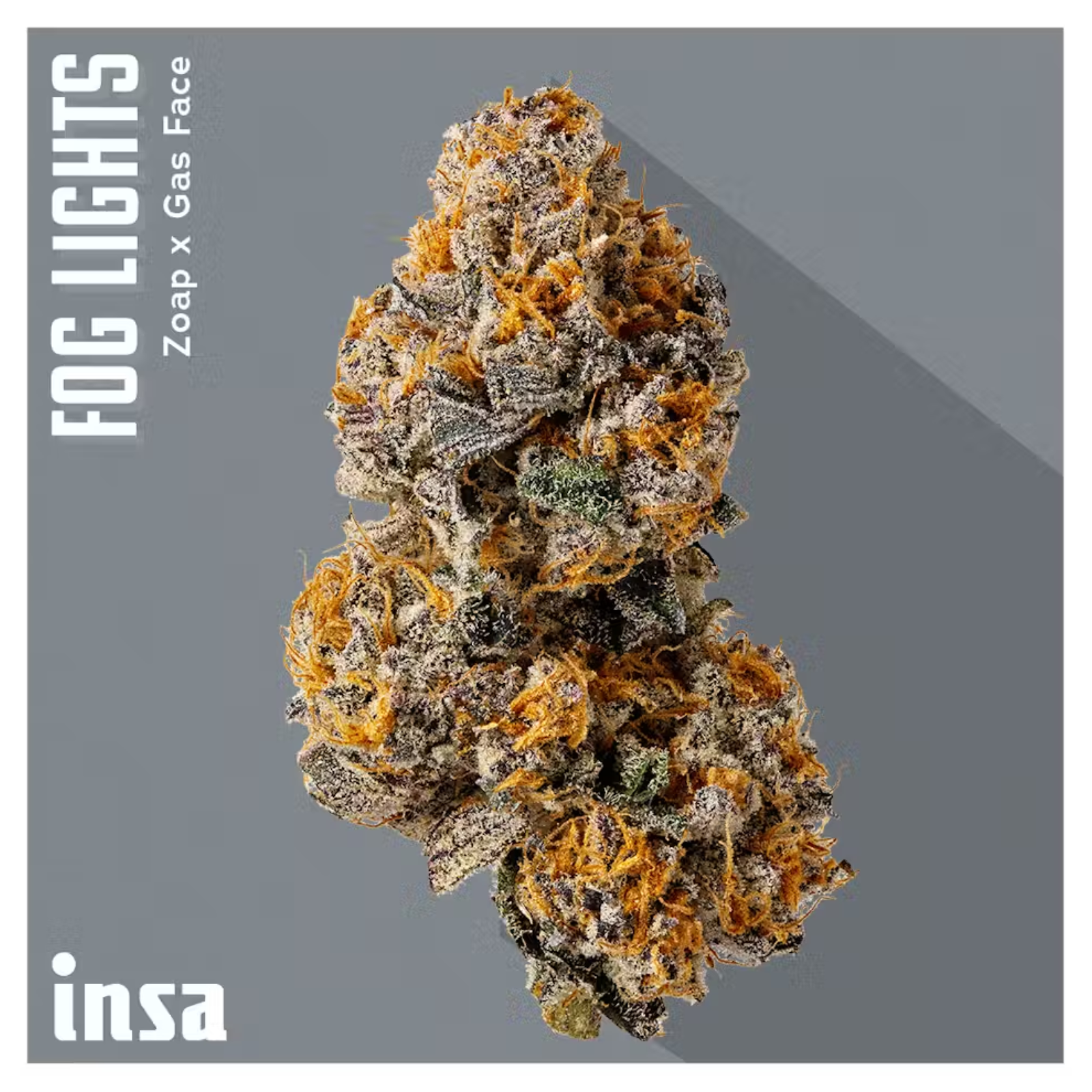 Photograph of product: 3.5g | Fog Lights | INSA