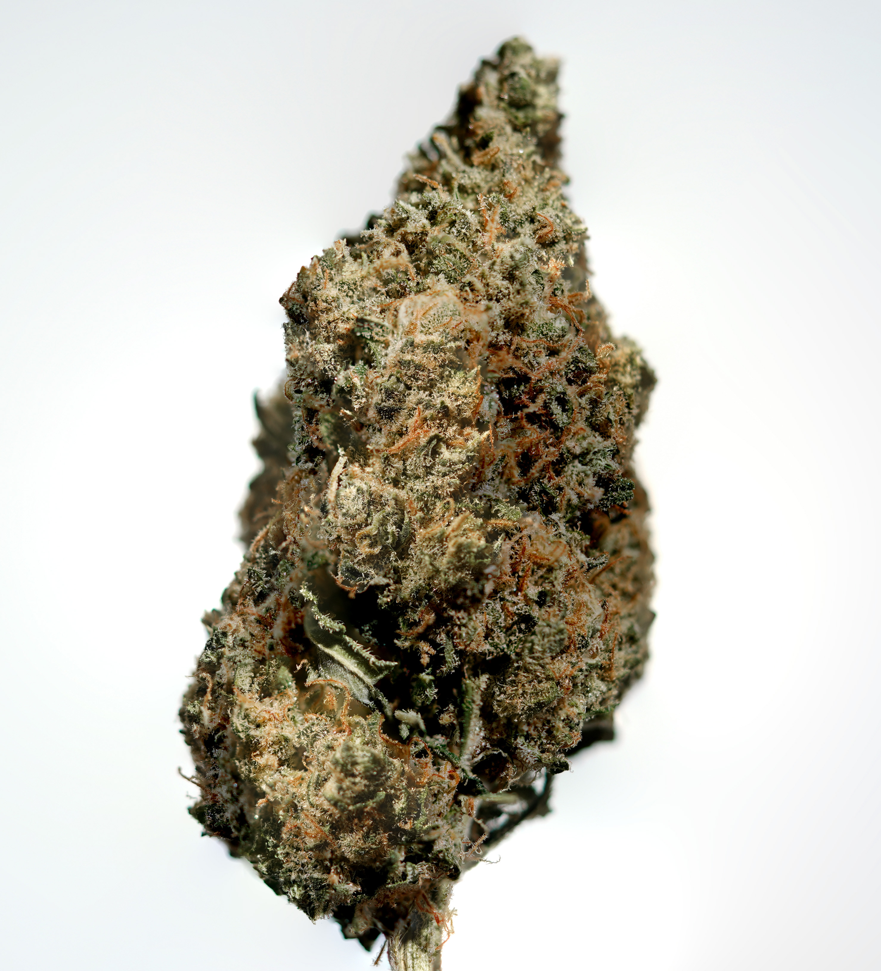 Photograph of product: Durban Margy | Flower | 3.5 g | Hybrid - 3.5g