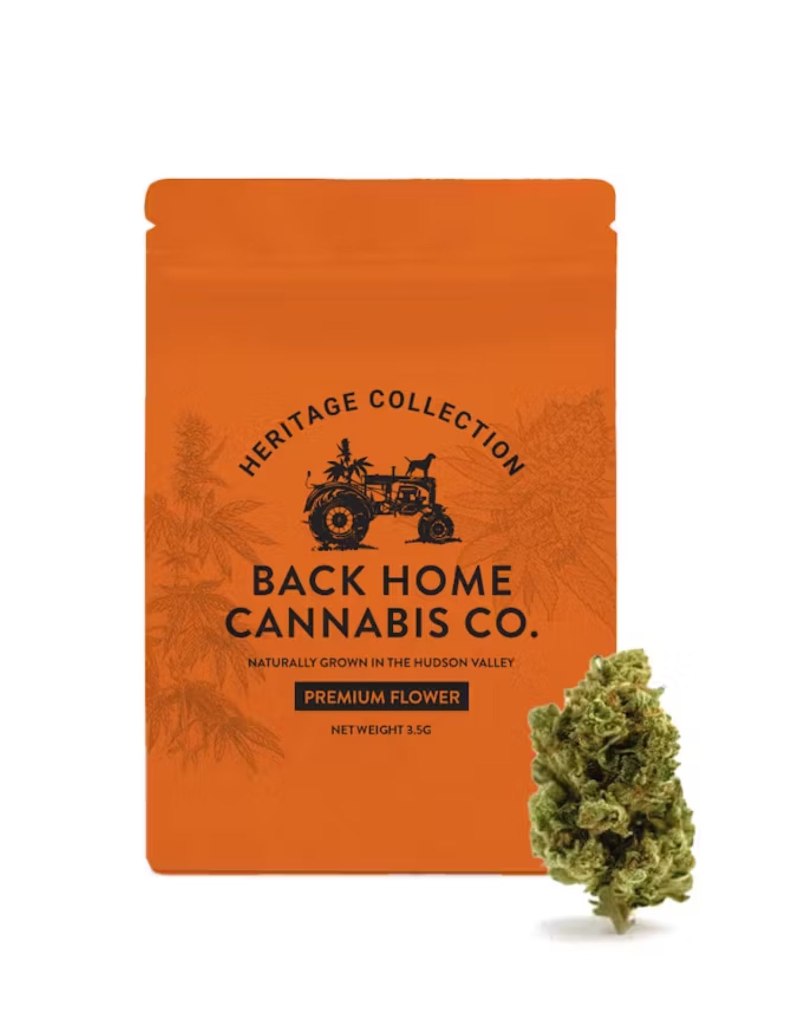 Photograph of product: Back Home Oui'd Co. | 3.5g Flower Bag | White Widow