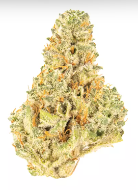 Photograph of product: SAVVY | Kosher Dawg POPCORN 3.5g