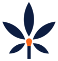 thumbnail-Size Logo for storeLogo: nuEra Chicago Dispensary