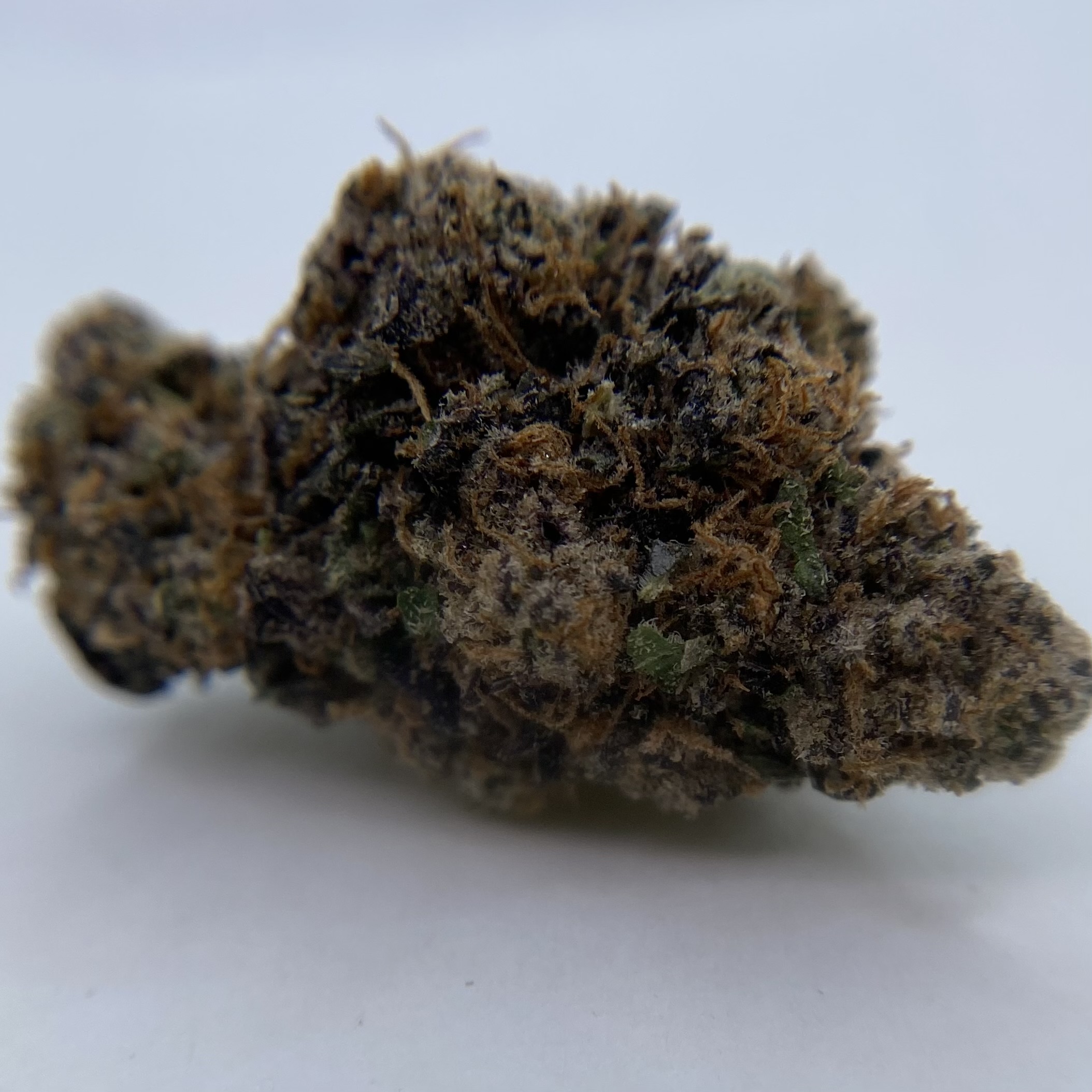 Photograph of product: Artsy: Cajun Mints Buds - 2g