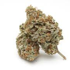 Photograph of Product: Sour Rita - 3.5g