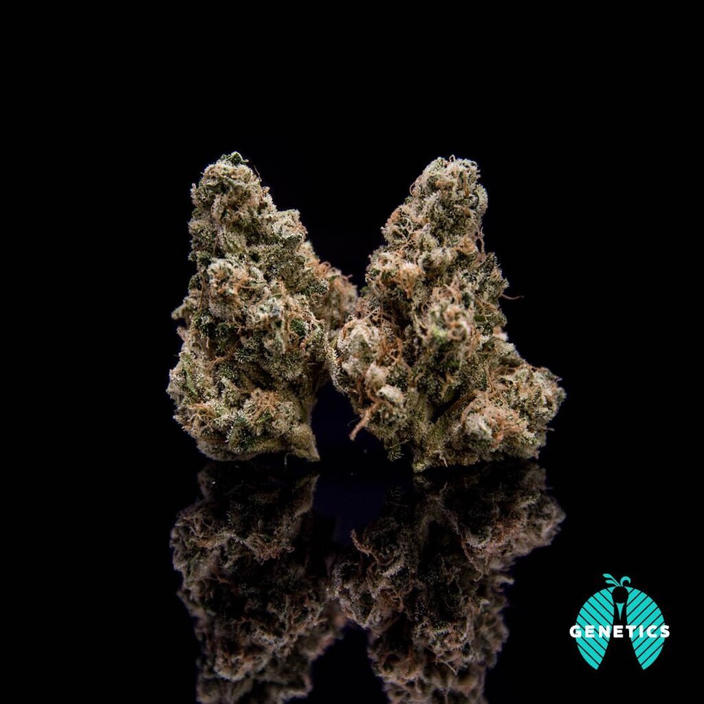 Photograph of product: Stay Puft - ["3.5g Flower"]