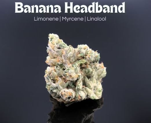 Photograph of product: Banana Headband 14.15g