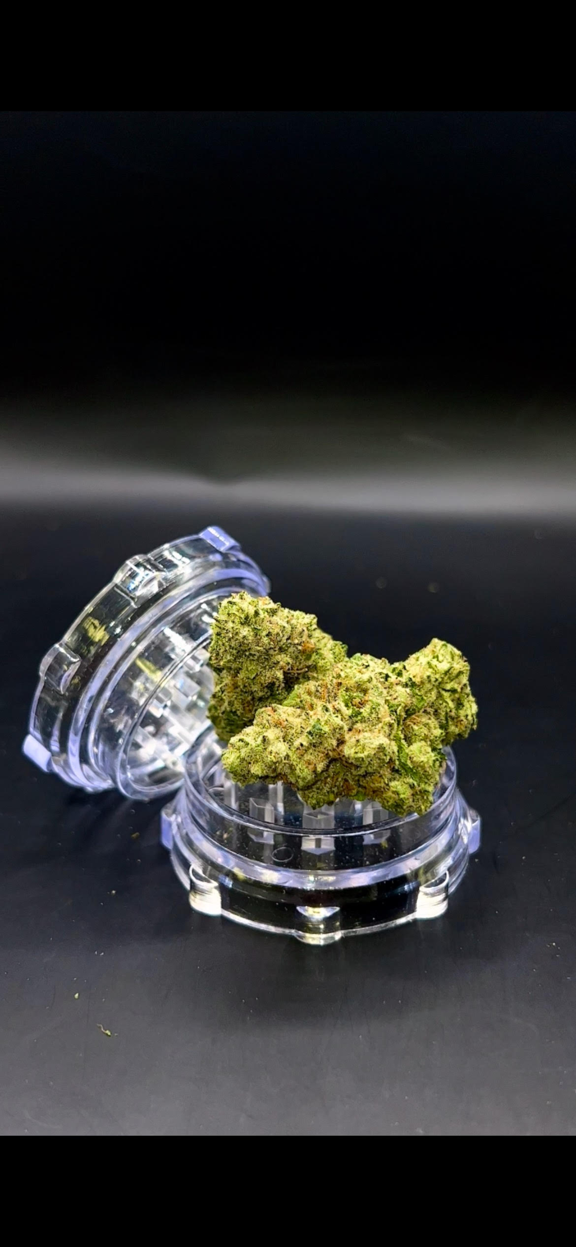 Photograph of product: Top Shelf - Governmint Oasis (H) - 28g