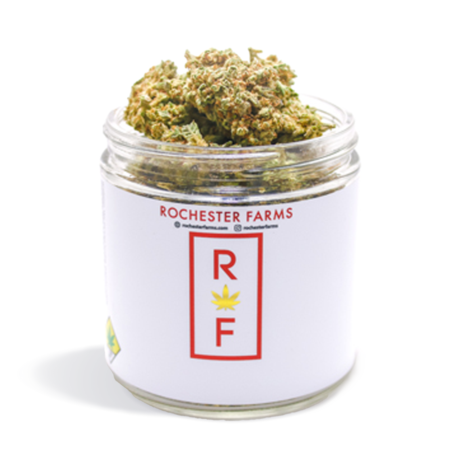 Photograph of product: Blackberry Trainwreck - 1g