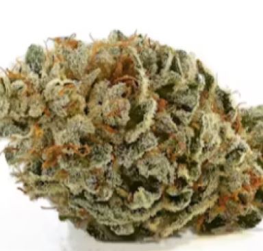 Photograph of product: Erva | White CBG Hemp Flower 7g
