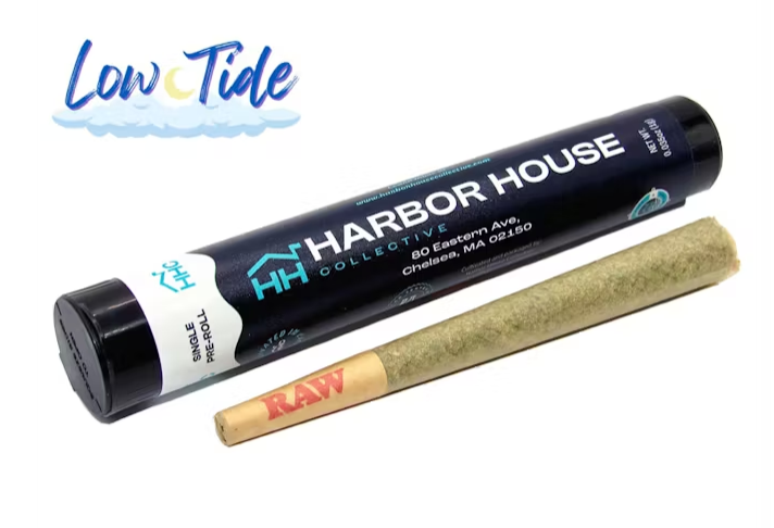 Photograph of product: Garlic Drip - 1g - Harbor House