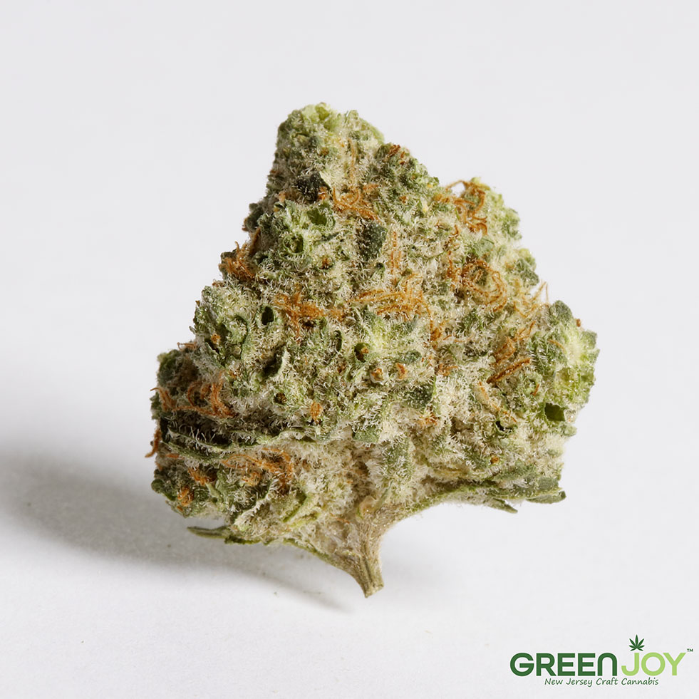 Photograph of product: Fruity Gum - All Flower Buds | 14G