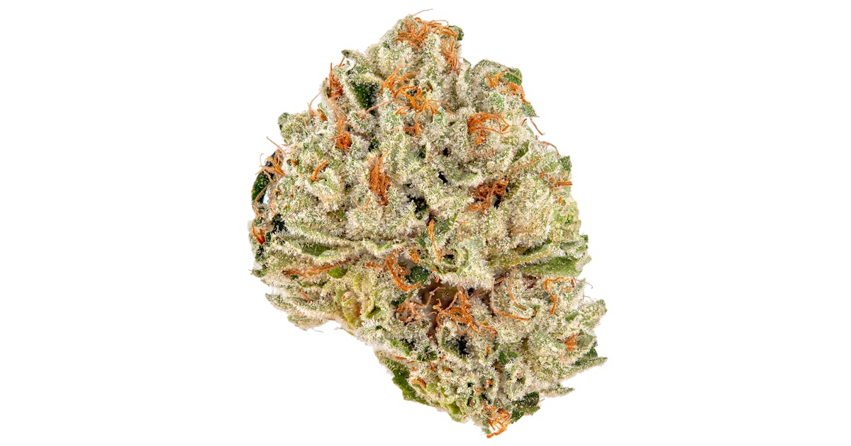 Photograph of product: (Baked Beans) Fresh Squeezed Flower Smalls (S) - 7g