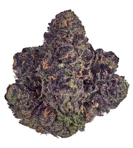 Photograph of product: GOLDKINE | Buds | Purple Milk - 28g