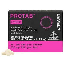 Photograph of product: Hybrid Protab   250mg