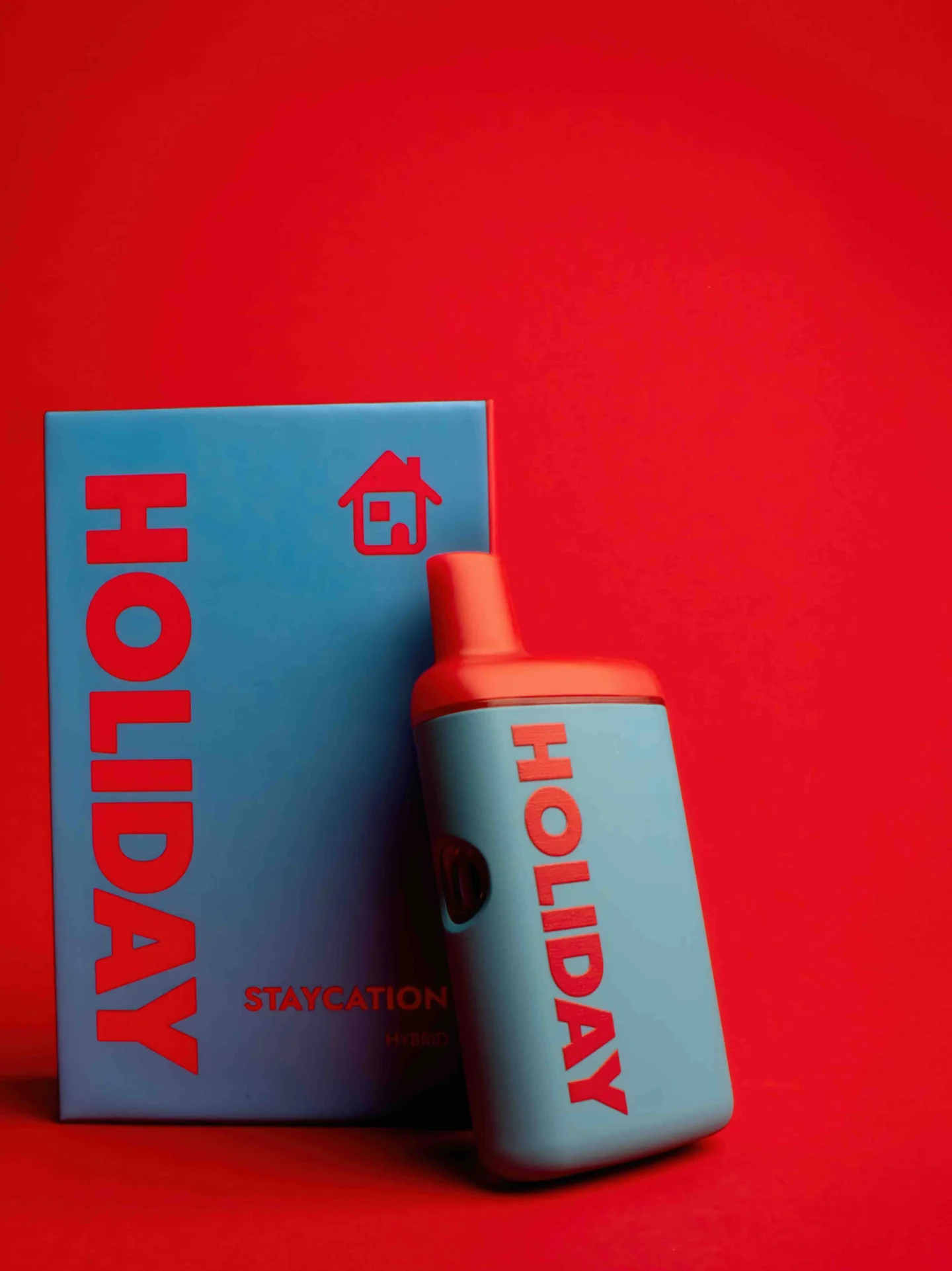 Photograph of product: Staycation- HOLIDAY - Disposable