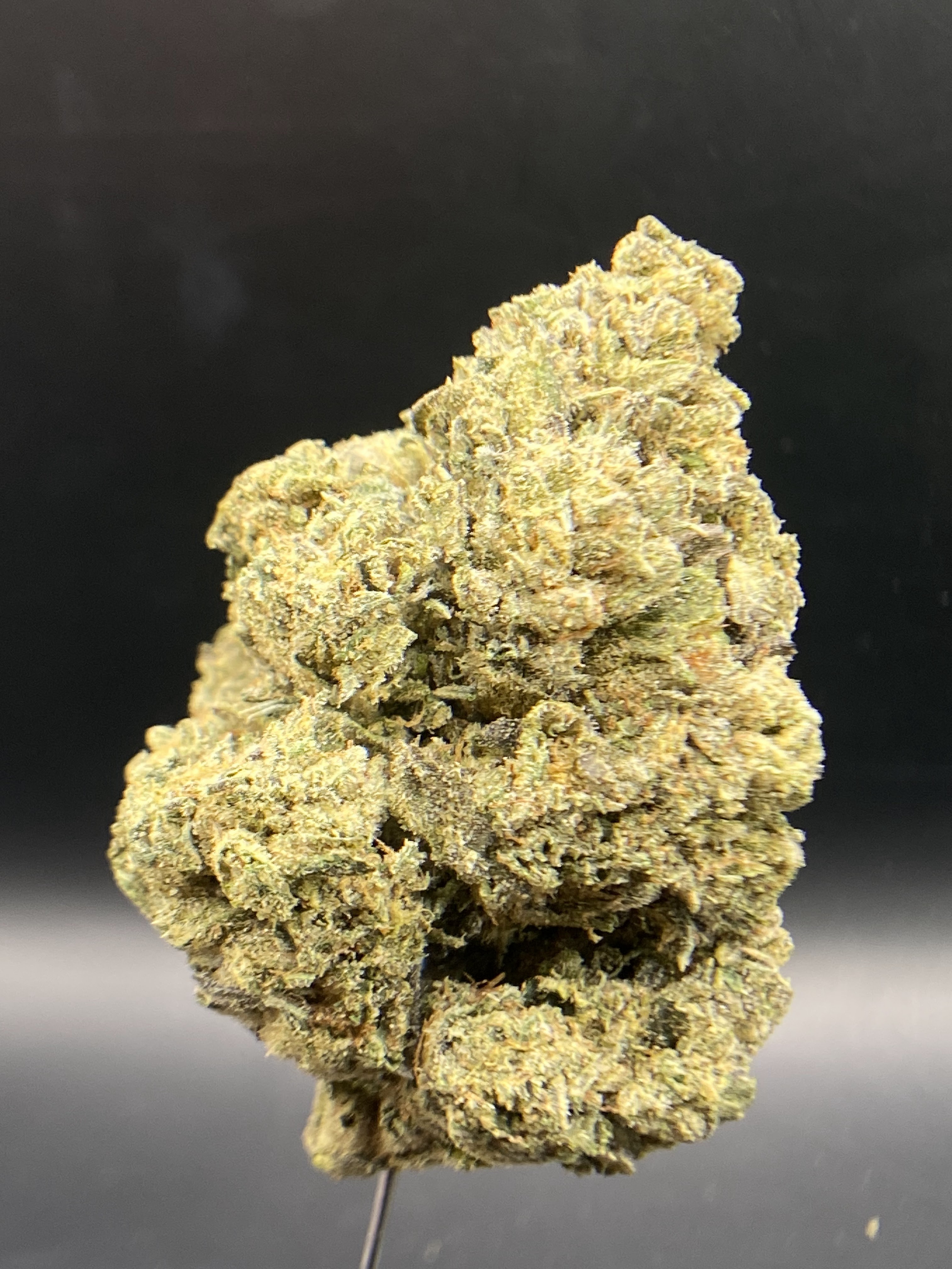 Photograph of product: Oregon Roots | Oui'd-Hybrid | Dosi Sherbet | $90 OZ - 1g