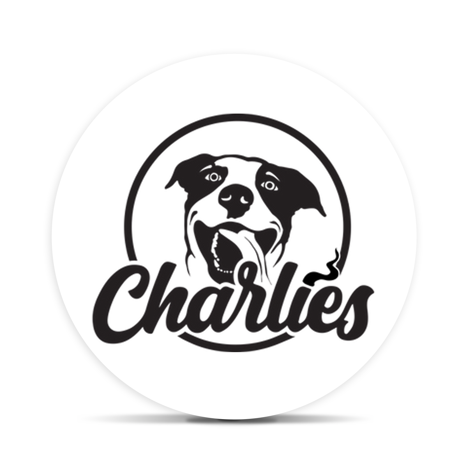 Logo for img-fluid: Charlies