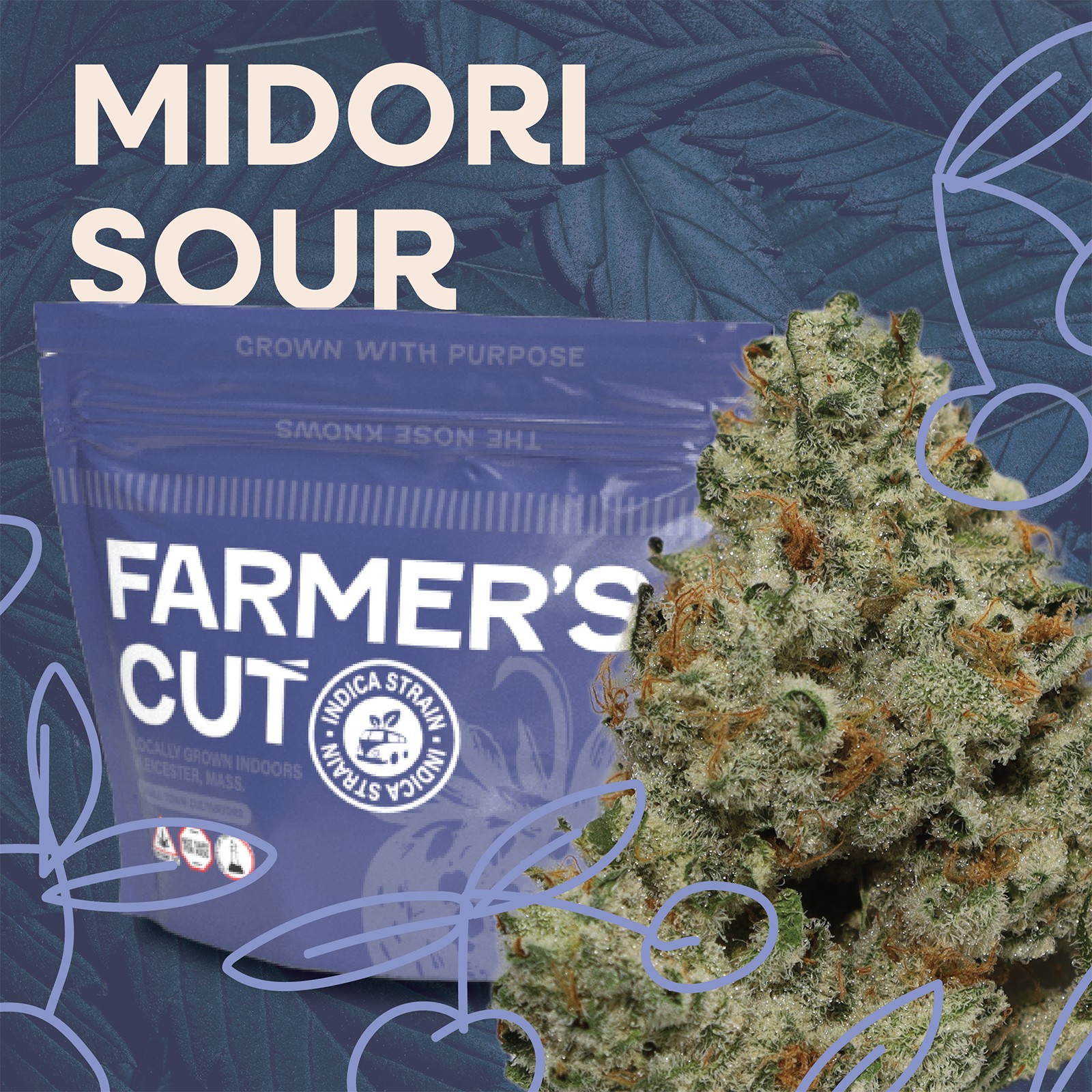 Photograph of product: Midori Sour - 14g