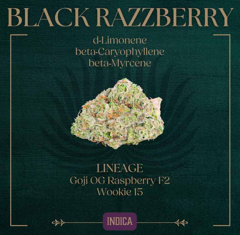 Photograph of product: 3.5g | Black Razzberry