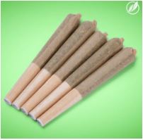 Photograph of product: Chem-band Shorties H 26076 (5pk) (AU)