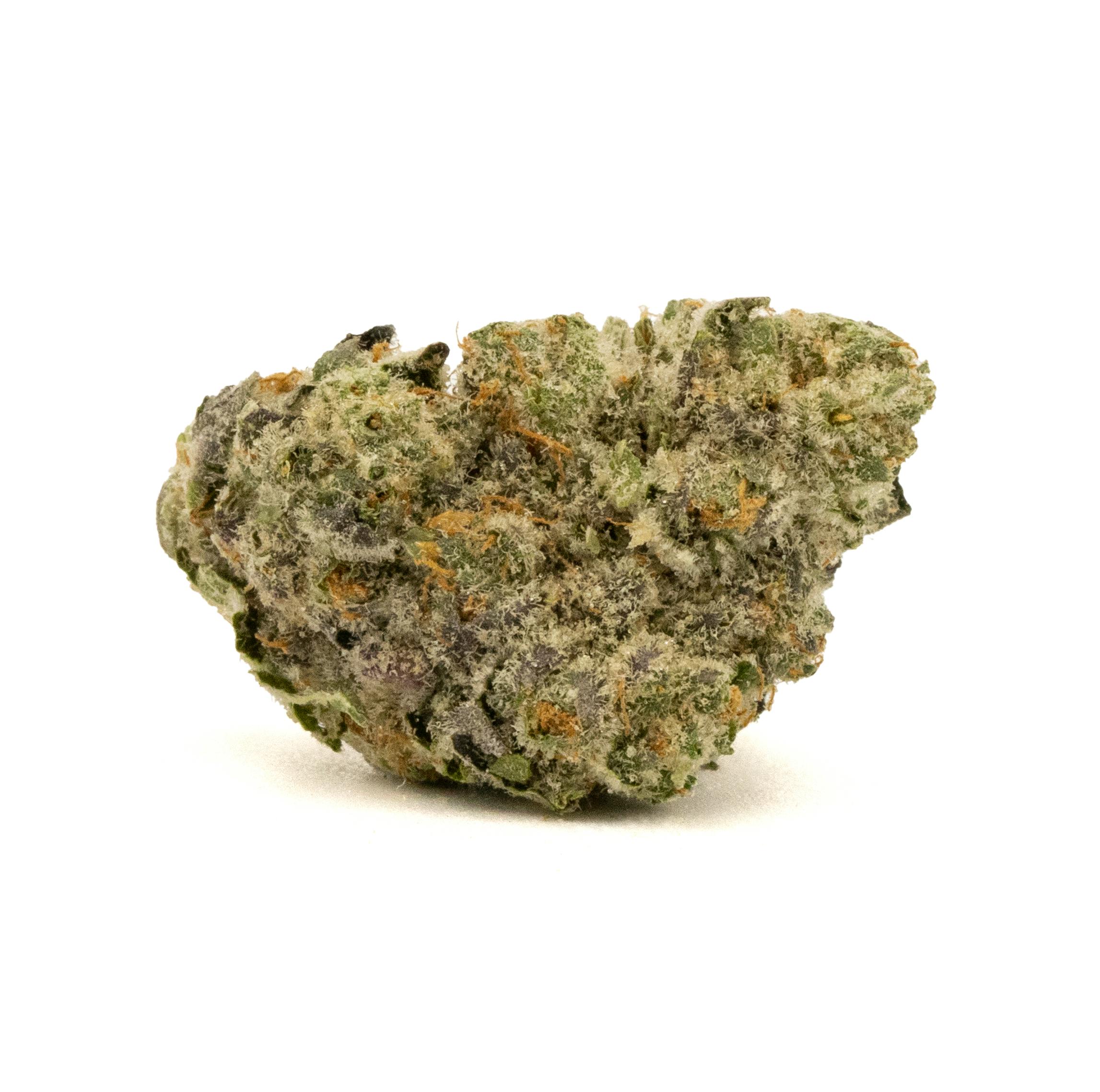 Photograph of product: ANIMAL TSUNAMI [14G]