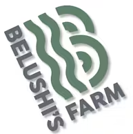 Photograph of product: BELUSHI'S FARM HASHBURGER