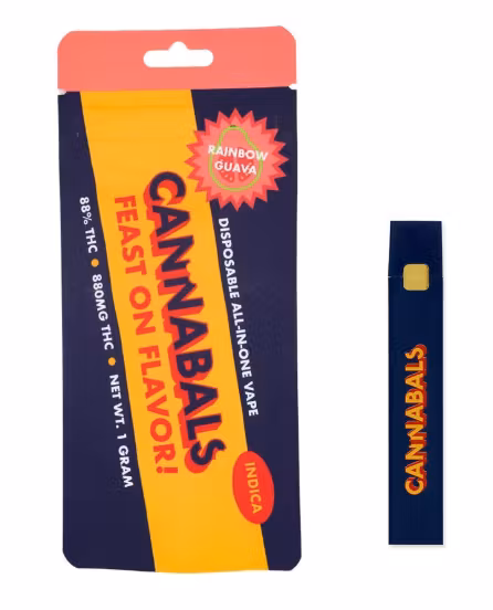 Photograph of product: All-in-One Disposable Vape - Rainbow Guava