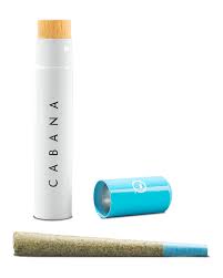 Photograph of product: Cabana | Koala | Preroll | 1g